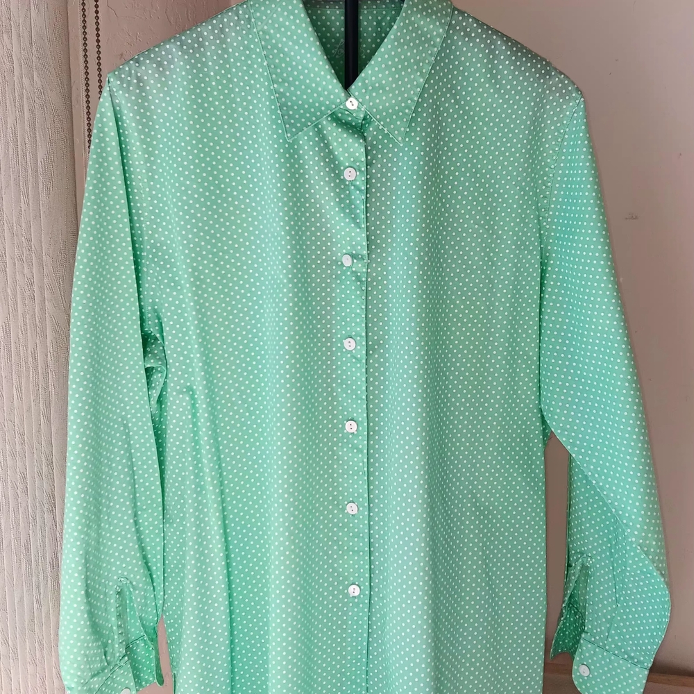 Foxcroft Blouse, Button Up Womens Size 14W Polka Dots Mint Green
